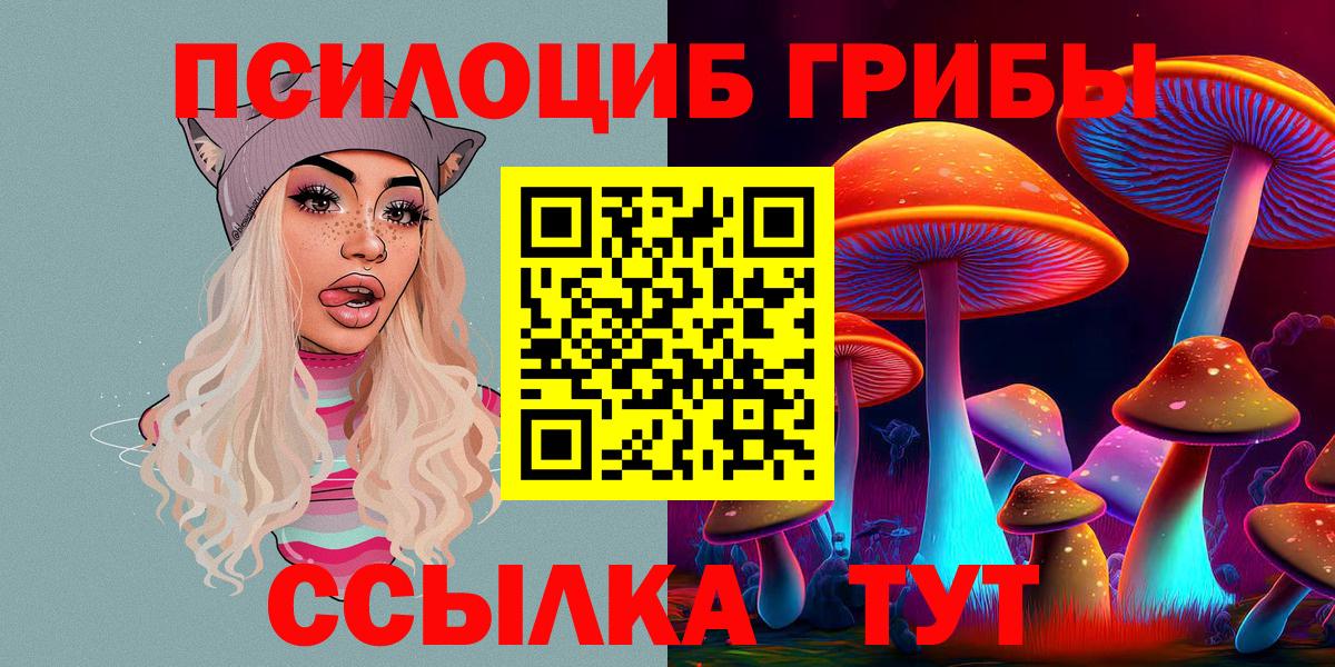 Глазов  Псилоцибиновые грибы Cubensis  Псилоцибиновые грибы Cubensis  как найти закладки  Вход с VPN 